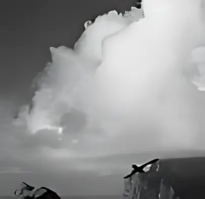 Fulmars at the Gap — Denis Balibouse