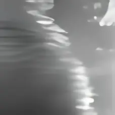 Obnubilazione — Kamir